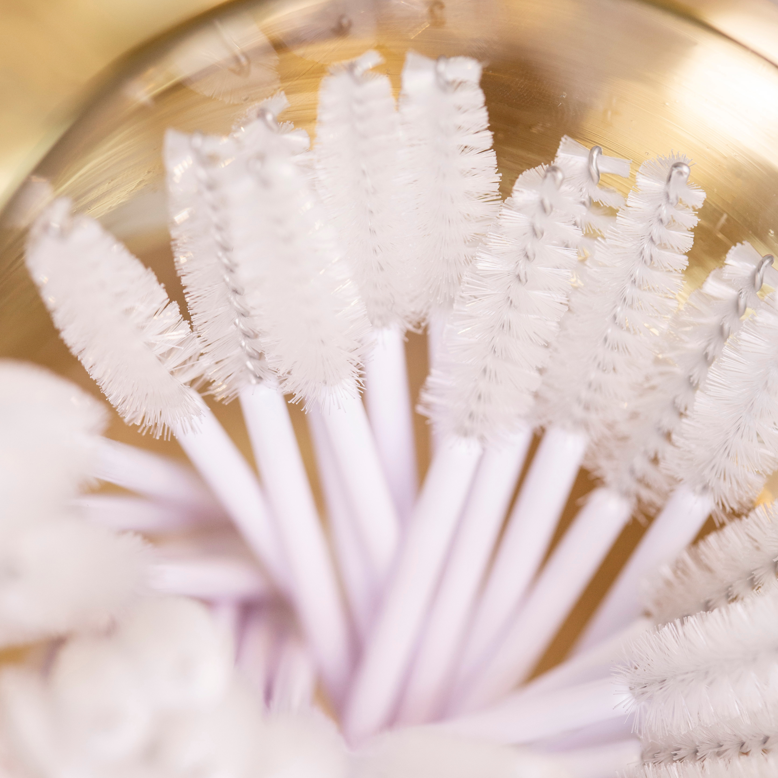 Mascara Brushes