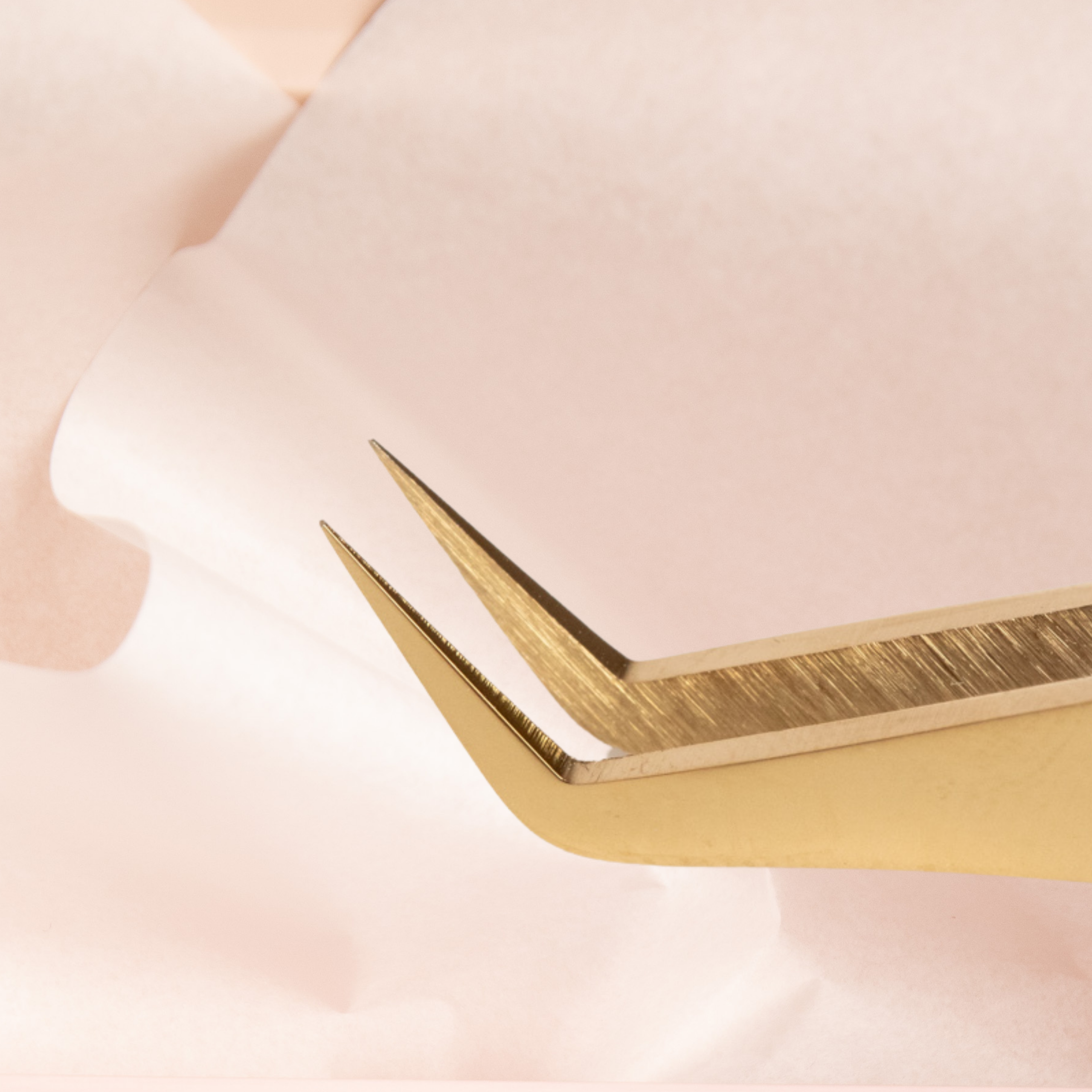 The Detailer - Image 2